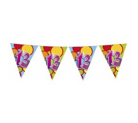 Vlaggenlijn 13 jaar party | 6 meter Vlaggenlijn 13 jaar party | 6 meter