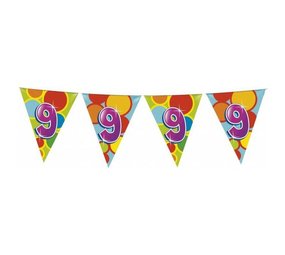 Flag line 9 years party | 6 meters