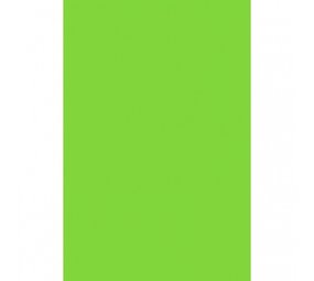 Tafelkleed kiwigroen plastic | 137x274cm