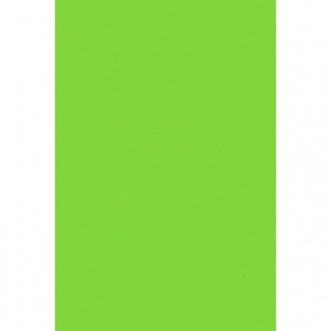 Nappe en plastique vert kiwigroth | 137x274cm