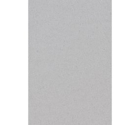 Tafelkleed zilver papier | 137x246cm