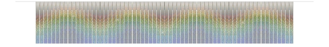 Franje slinger holografische zilver | 6 meter Franje slinger holografische zilver | 6 meter