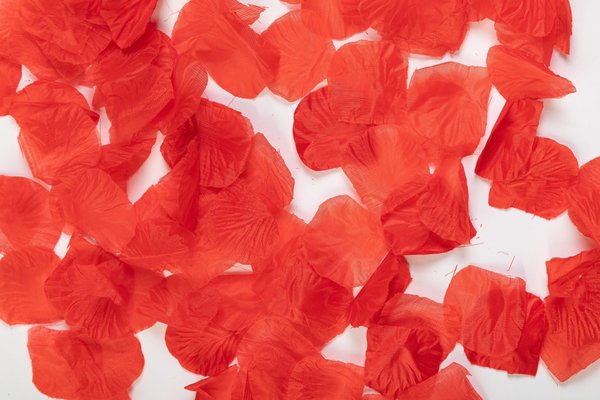 Globos Nordic Rose petals Luxury Red | 144 pieces Globos Nordic Rose petals Luxury Red | 144 pieces