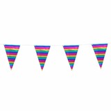 Flag Line Rainbow Metallic | 10m Flag Line Rainbow Metallic | 10m