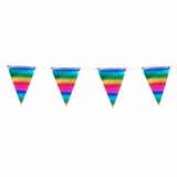 Boland Ligne de drapeau Rainbow Mini métallique | 3m Boland Ligne de drapeau Rainbow Mini métallique | 3m