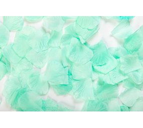 Globos Nordic Rosenblätter Luxus Mintgroen | 144 Stücke Globos Nordic Rosenblätter Luxus Mintgroen | 144 Stücke