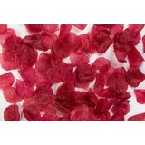 Globos Nordic Rosenblätter Bordeaux Red | 144 Stücke