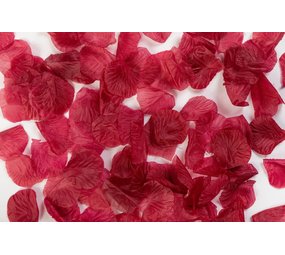 Globos Nordic Pétales de rose rouge bordeaux | 144 pièces Globos Nordic Pétales de rose rouge bordeaux | 144 pièces