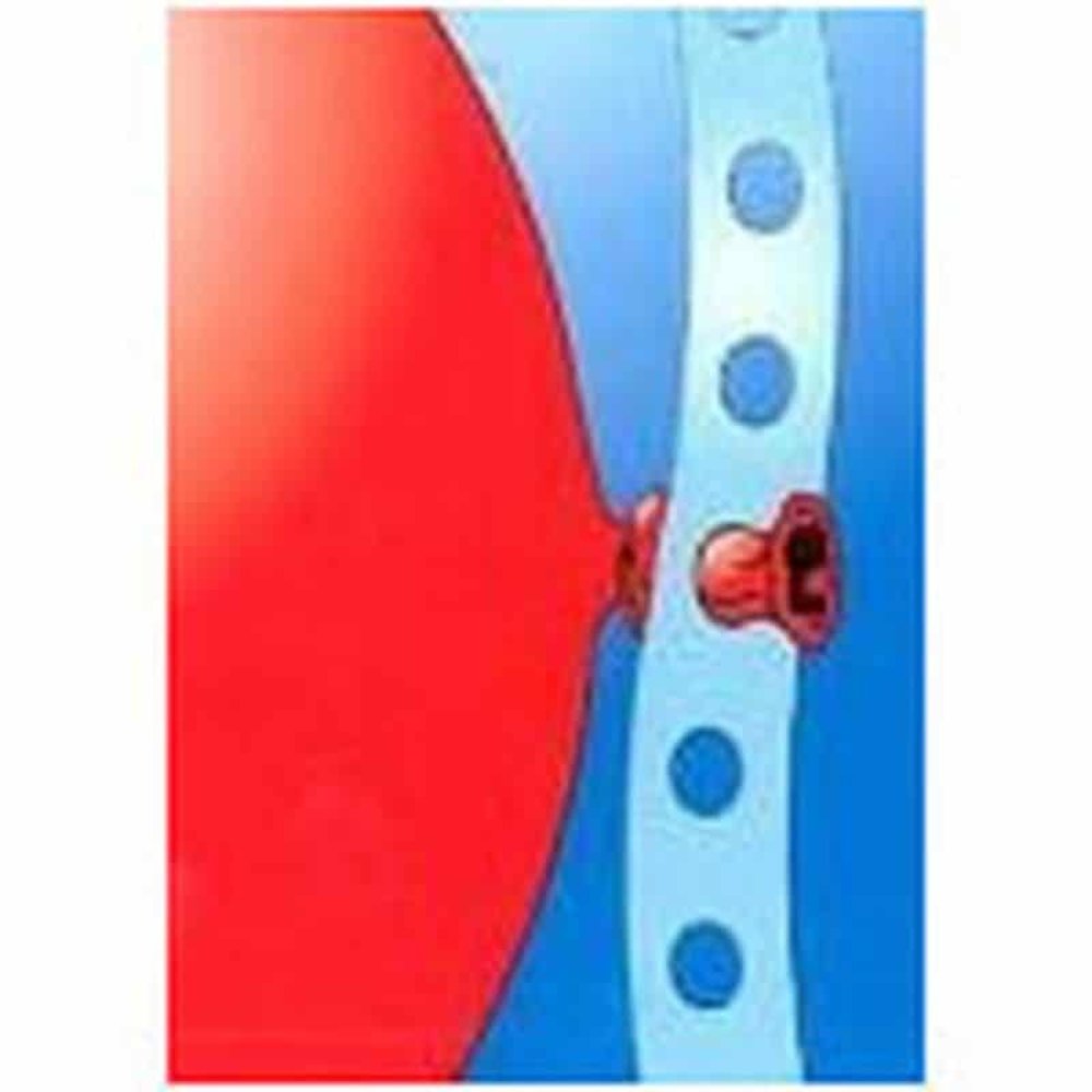 Globos Nordic Ballonstrip 5 meter Globos Nordic Ballonstrip 5 meter