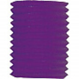 Globos Nordic Treklampion Purple 16x20cm | per Unit