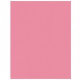 Amscan Nappe Nouveau rose 137x274cm Amscan Nappe Nouveau rose 137x274cm