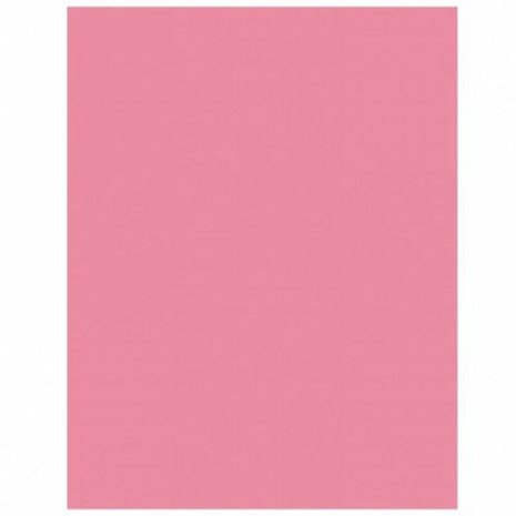 Amscan Tafelkleed new pink 137x274cm Amscan Tafelkleed new pink 137x274cm