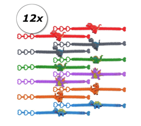 Henbrandt Dino bracelet per 12