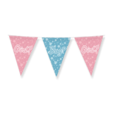 Paper Dreams Gender Reveal Party Slinger | 10 meter
