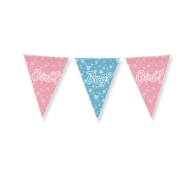 Paper Dreams Gender Reveal Party Slinger | 10 meters Paper Dreams Gender Reveal Party Slinger | 10 meters