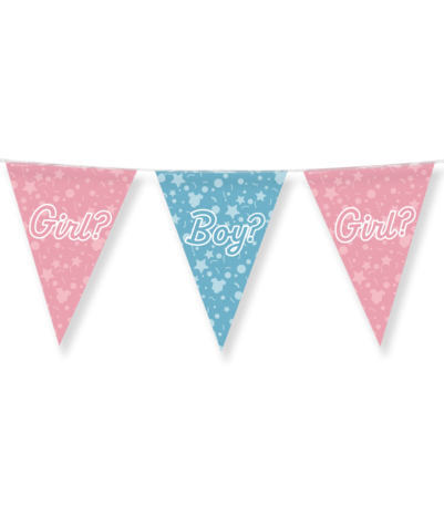 Paper Dreams Gender Reveal Party Girlande | 10 Meter