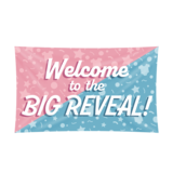 Paper Dreams Gender reveal party facade flag | 150x90cm