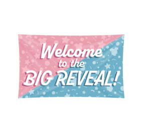 Paper Dreams Gender Reveal Party Wandfahne | 150x90cm Paper Dreams Gender Reveal Party Wandfahne | 150x90cm