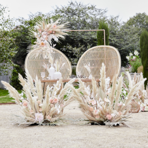 A Touch of Pampas A Touch of Pampas