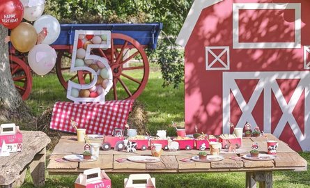Bauernhof-Kindergeburtstag: Unsere Dekorationstipps