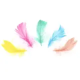Tuf-Tuf Regenboog Veren 5-8cm | 50 stuks Tuf-Tuf Regenboog Veren 5-8cm | 50 stuks