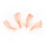Tuf-Tuf Dekoration Feder Pfirsich 5-8cm | 50 Stück Tuf-Tuf Dekoration Feder Pfirsich 5-8cm | 50 Stück