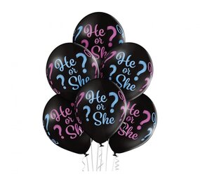 Ballonnen He or She | 6 stuks