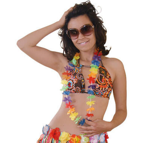 Folat Hawaii Kranz Regenbogenfarben 50cm | pro Stück Folat Hawaii Kranz Regenbogenfarben 50cm | pro Stück