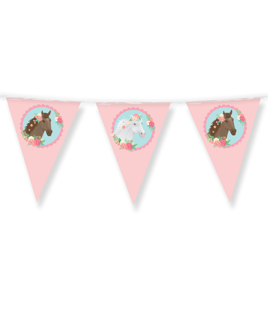 Paper Dreams Sweet Horses Flagline 10m | each