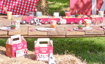 Boerderij Kinderfeestje: onze versiering tips