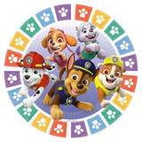 Amscan Assiettes Paw Patrol 23cm | 8 pièces Amscan Assiettes Paw Patrol 23cm | 8 pièces