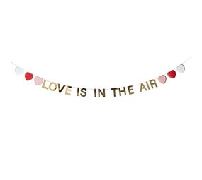 Hootyballoo Girlande "Love is in the air" Herzen 2m |  je