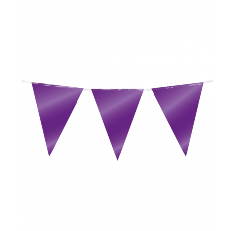 Paper Dreams Purple Flagline Metallic | 10 metres Paper Dreams Purple Flagline Metallic | 10 metres