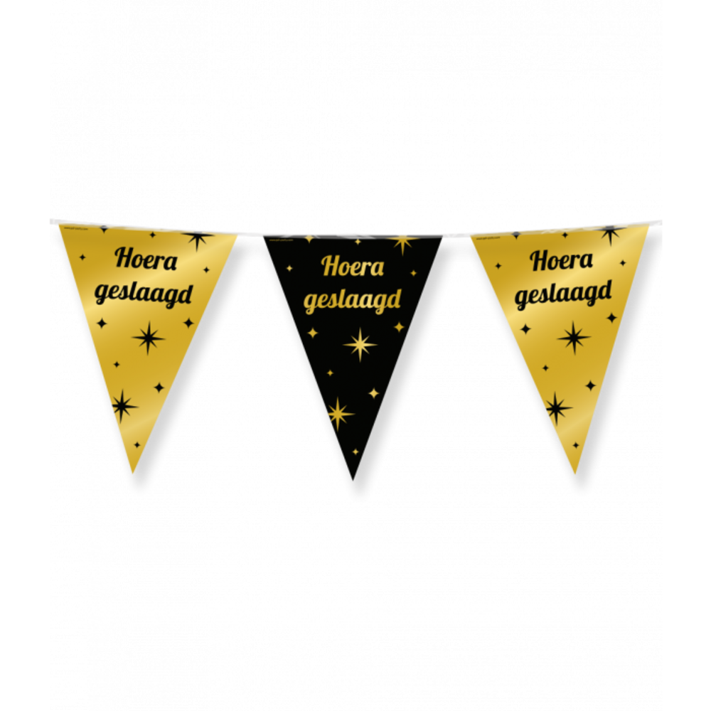 Paper Dreams Flag line Slinger Hoera Geslaagd Classy 10 meters | per Unit