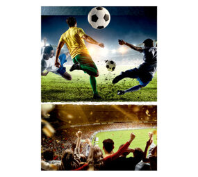 Amscan Voetbal Uitdeelzakjes Kick It 24x16cm | 8 stuks