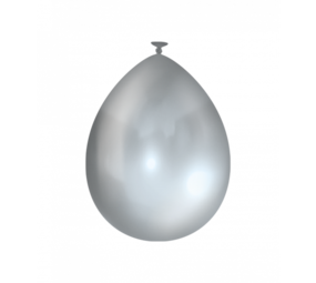 Paper Dreams Zilveren ballonnen metallic 30cm | 25 stuks