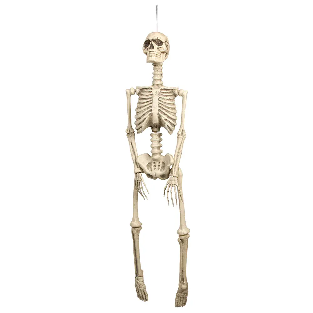 Boland Skeleton Hanging Decoration 92cm | Per Piece Boland Skeleton Hanging Decoration 92cm | Per Piece