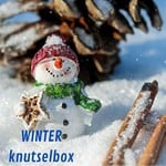 Knutselbox winter