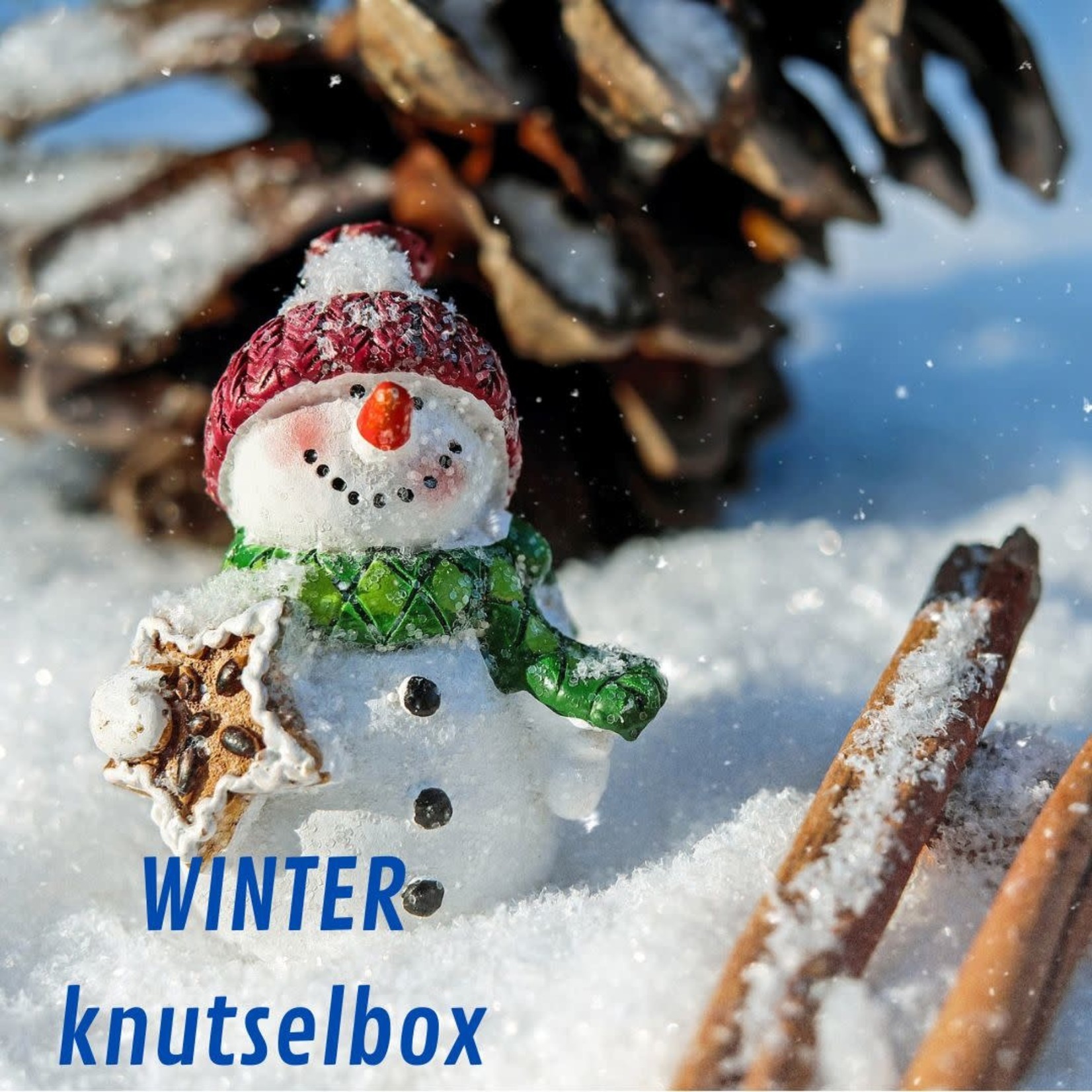 Knutselbox winter