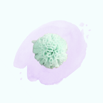 pompon mint