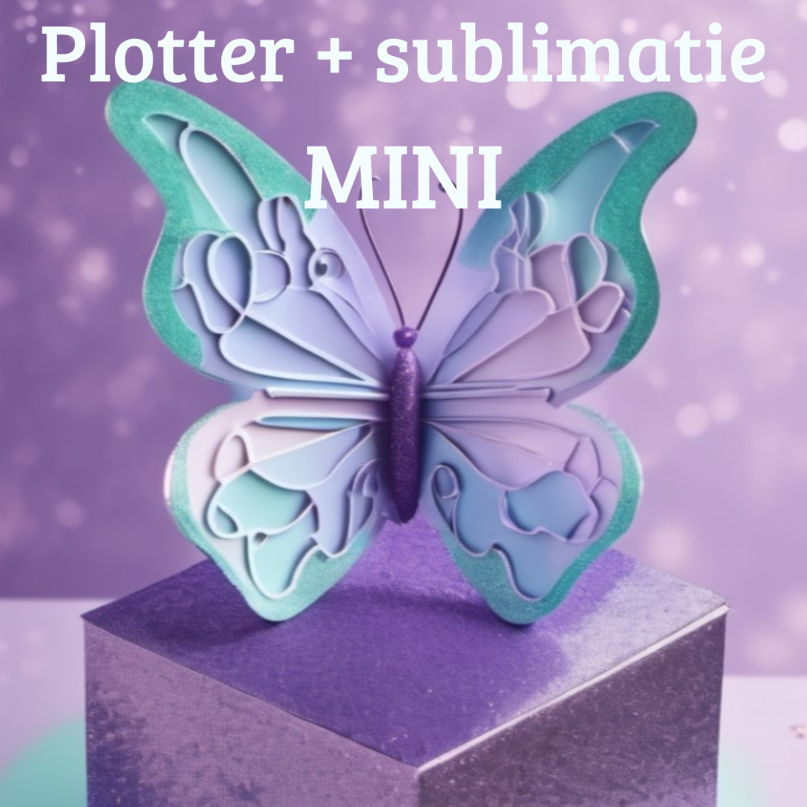 Mystery box plotter + sublimatie (MINI)