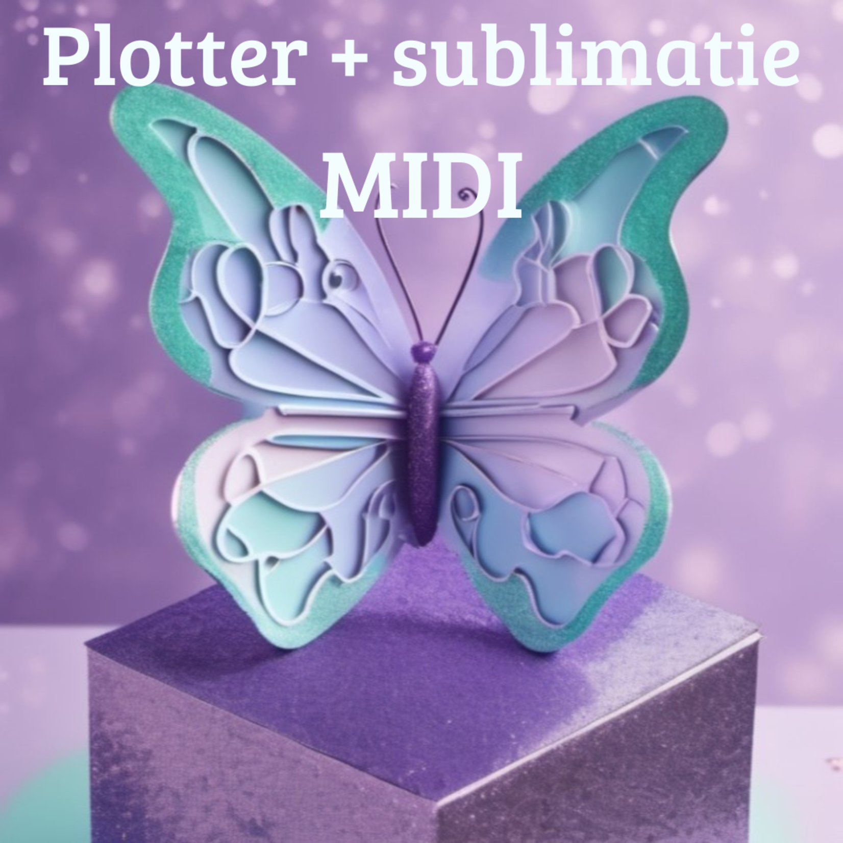 Mystery box plotter + sublimatie (MIDI)