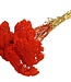 Achillea Parker rouge fleurs séchées | 10 fleurs par bouquet | Longueur 65 centimètres