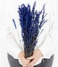 MyFlowers Reserved lavender, length 50 centimetres