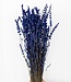 Gepreserveerde lavendel | Intens blauwe kleur | Lengte 50 centimeter