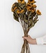 10 dried French sunflowers | Length 60 centimetres