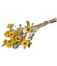 10 dried French sunflowers | Length 60 centimetres