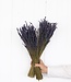 Two bunches of dried Lavender | 100 grams per bunch | Super Deal