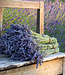 Two bunches of dried Lavender | 100 grams per bunch | Super Deal