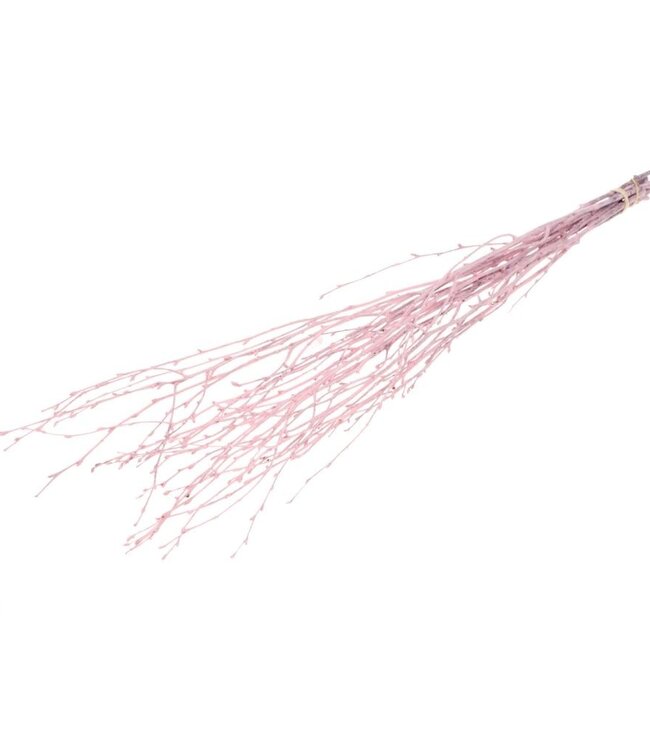 Branches de bouleau roses brumeuses fleurs séchées | Longueur ± 60 cm | Disponible par 10 tiges